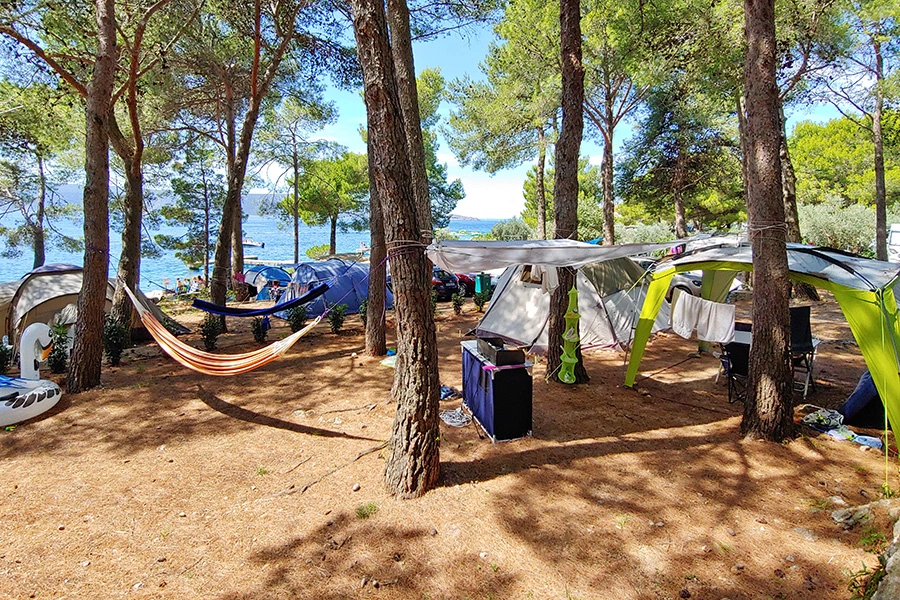 Plots in the shade, Kovačine camp, Cres