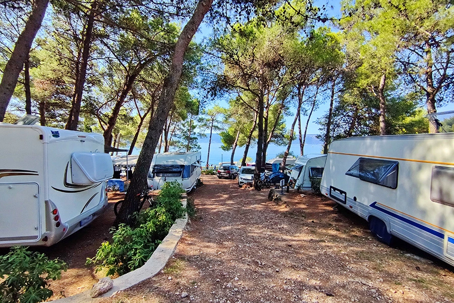 Standplaatsen in de schaduw van dennen- en olijfbomen, camping Kovačine, Cres