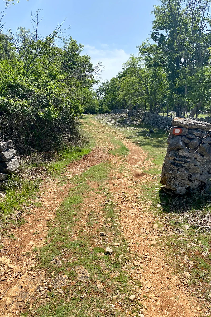 Pješačka i biciklistička staza na otoku Cresu uz suhozid