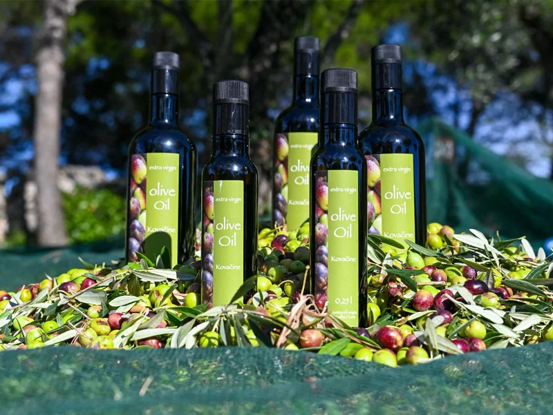 La salvia (Salvia officinalis), isola di Cres